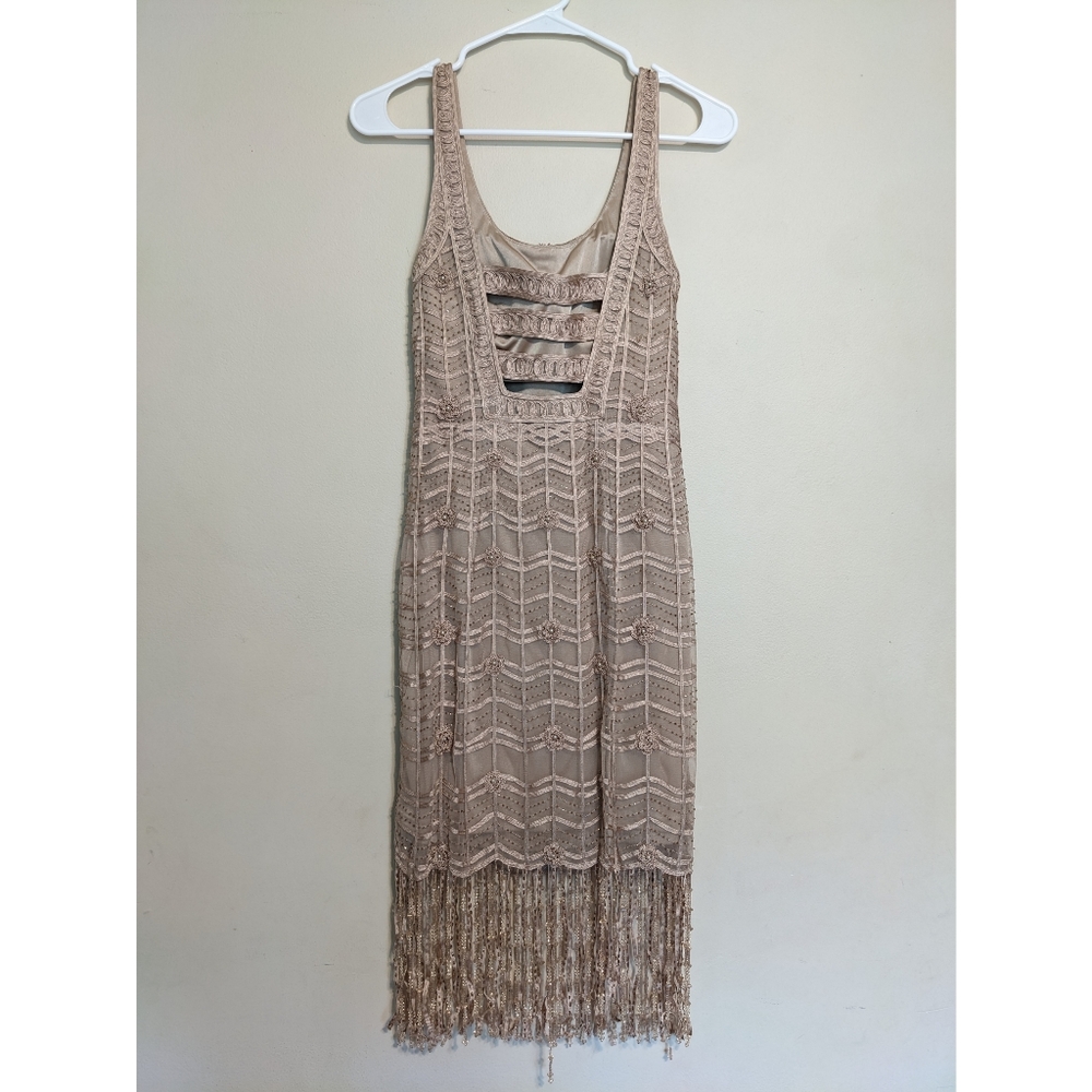 Vintage Sue Wong Gatsby 1920's Flapper Beaded Dress in Nude Size 2 - Picture 5 of 8